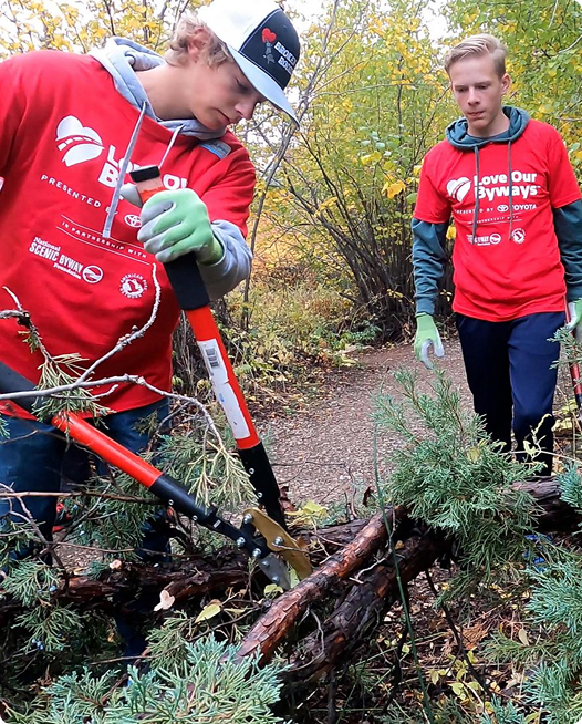 Boys Cutting Tree