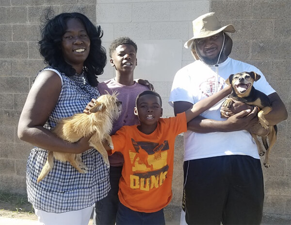 AZ Pet Project