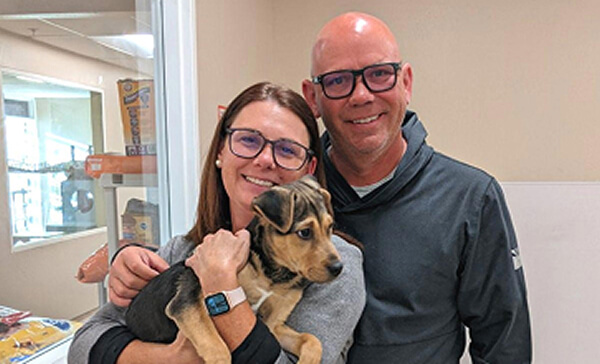 Lost Our Home Pet Rescue